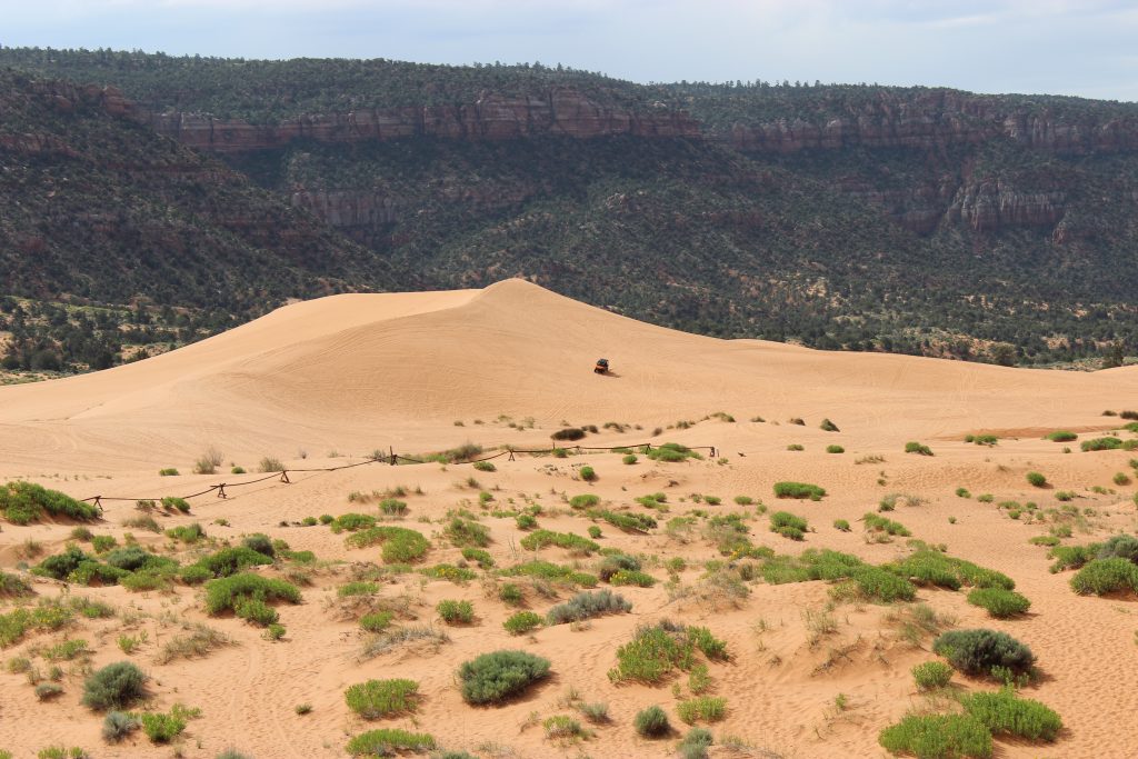 Coral Pink Sand Dunes – ATV Rental – Refreshes My Soul